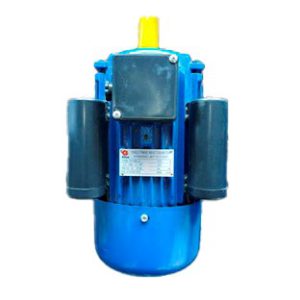 Motor eléctrico monofásico 3 HP YC100L-2 2 polos 220V
