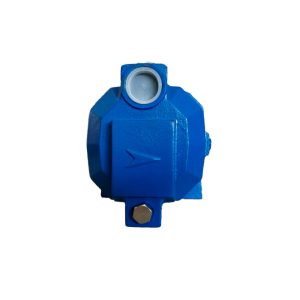 Bomba autoaspirante JET-100P 1 HP 220V 50Hz