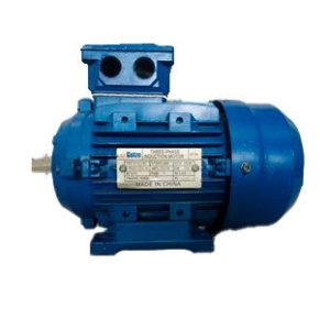 Motor eléctrico trifásico 0.75 HP Y2-712-2 2 polos 380V 3000 RPM