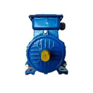 Motor eléctrico trifásico 1 HP Y2-801-2 2 polos 380V 3000 RPM